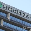 김동현세무회계 연합뉴스