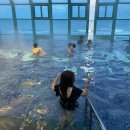 해송목장 이미지