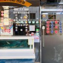 독도막회 이미지