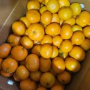 스테이빌레하임 이미지