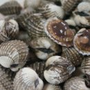 역전꼬막 이미지