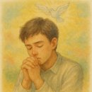 천성건설
