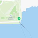 제주 돌고래 이미지
