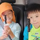 카라반에코빌리지 이미지