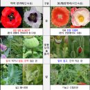 제주시서부보건소 이미지