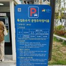 서울숲복합문화체육센터 평일 자유수영 후기