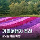 애견가을농장 | 선선해진 9월 주말 나들이 떠나기 좋은 국내 가을 여행지 추천