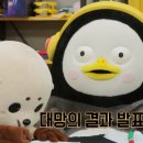 짬짜야