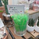 주니앤제이