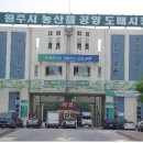 원주시농산물도매시장 브레이크뉴스강원