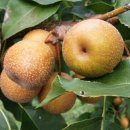 형국농장 이미지