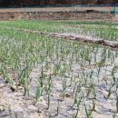 태양마을 이미지