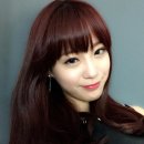 개이뻐 Daum카페