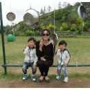 석진이네 이미지