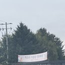 파주로 은행나무길 | [파주] 벽초지수목원 국화축제 주말 방문후기 입장료 주차