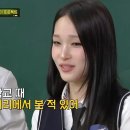 애니셀프 이미지