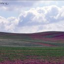 삼화목장 이미지