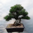 해송4로 이미지