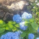 준이농장 이미지