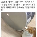 윙윙 - 전주시 완산구 솟대2길 2 | 윙윙