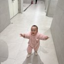 스윗아이디어스 | 14개월아기와 함께 한 마곡 원그로브 방문기