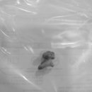 문정탑동물병원 이미지