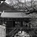 조계종 본산 승보사찰 순천 송광사 이미지