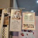 몽드드뚜뚜 | 포천 대형 애견카페 몽드드뚜뚜(애견운동장, 내 돈 내산 후기)