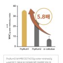 D00560 | LDL 콜레스테롤 낮추는 음식 및 수치 관리 방법 [무조건 읽으세요]