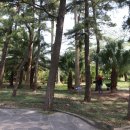 한림공원 이미지