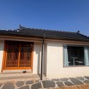 스테이 다옴 이미지