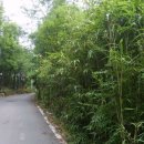 성전암등산로 이미지