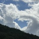 고갯마루 | 남원 맛집 고갯마루 능이오리백숙 몸보신 후기