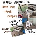 한림동물병원 이미지