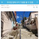 조커PC 이미지