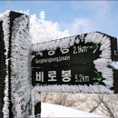 제386차 1월15일 경북 소백산 (1,439M) 눈꽃산행 이미지
