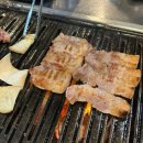 겨울조하 추운 거 싫어