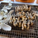 천장어 | [시흥/물왕저수지] 가성비 끝판왕! 쫄깃한 장어 맛집 '천장어' 내돈내산 후기