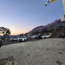 우산공원길 | 양산 물금 황산공원 벚꽃 만개한 저녁 산책 후기