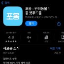 집에서 하는 간단한 강아지/고양이 식이알러지 검사 포옹랩스 어플 사용방법과 후기