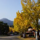 다산정약용유적지입구 이미지