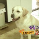호야 농장 이미지