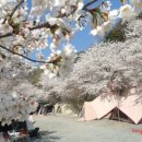 천문대 별빛정원 이미지