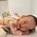 혼둘제아 네이버블로그