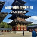 3단지 매표소안 | 6월 부여 가볼만한곳ㅣ부모님과 백제문화단지 야간개장 관람코스 후기