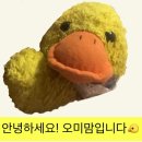 명족발 진칼국수 이미지