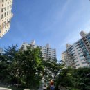 현대3차아파트 경로당 | 권연침벌 집진드기 퇴치 방역 서울 노원구 상계동 수락산 현대3차아파트 방제 후기