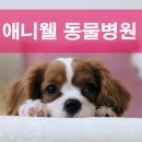 애니웰 동물병원 | 일산 동물병원 추천하는 이유 - 과잉진료 없는 애니웰 동물병원