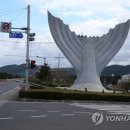 비행기 조형물 이미지