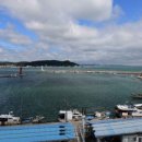 일광펜션 | 기장독채펜션 기장단체펜션 오션뷰 끝판왕 “일광펜션” 후기🌊